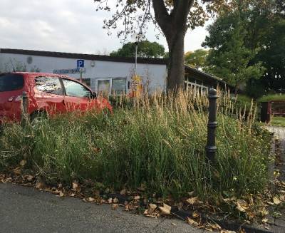 So sah es kürzlich noch vor dem Gräfenhäuser Bürgerhaus aus.